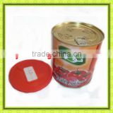 70-4500g canned tomatoes manufactures made tomato paste for the word