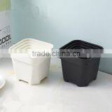 10*10cm high quality small nursery pot plastic flower pot cheap square plant pot