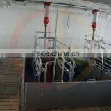 Pig Farrowing Crate Pig Equipment for Sale thumbnail-2