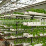 Large Multi-span Fiberglass Commercial Greenhouse,garden Greenhouse,flower Greenhouses