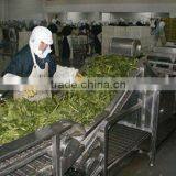 Vegetables Washing Processing Line Machine
