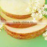 Chinese Electric Automatic Multifunctional Vegetable Cutter 130-660kg/h Capacity thumbnail-3