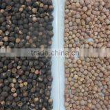 Best Price Cereal CCD Color Sorter in China Manufacture thumbnail-4