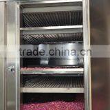 Multiple Layer Continuous Type Mesh Belt Dryer for Rosebud thumbnail-2