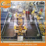 Hight Complete Peach Canning Processing Machine/line thumbnail-1