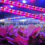 Marshydro Wholesale Led Light Bar Grow Strip 60cm 120cm Led Light Bar 50" Led Light Bar thumbnail-3
