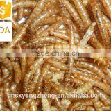 Dried Mealworms,Birds Food & Aquarium Fish Food thumbnail-6