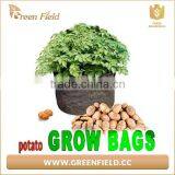 2017 Non Woven Hanging Planter Grow Bag Vegetable Grow Bag thumbnail-1