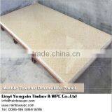 Interior Exterior Stone Exterior Wall Cladding Colors , Marble Texture Interior Wall Decorative Panel