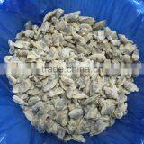 Hot Sales IQF Baby Clam Meat thumbnail-1