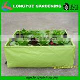 Hot Selling Flat Plastic Mushroom Grow Bags thumbnail-1