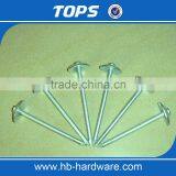 Cheap Aluminum Umbrella Head Roofing Nails thumbnail-4