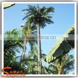 For Outdoor Landscaping Solar Lighted Palm Trees Tall Large Plastic Trees Customize Communication Tree and Plants thumbnail-6