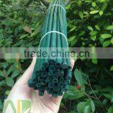 Green Bamboo Dried,round Flower Sticks for Sale thumbnail-2