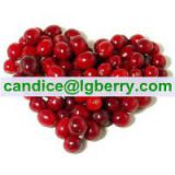 Cranberry extract OPCs