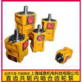 NT5-G100F Internal Gear Pump