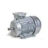 0.37KW 4.9HP 2 Pole IP55 Totally Enclosed Industrial Electric Motors 3000 Rpm thumbnail-1
