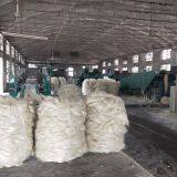 Sisal Fiber-best Quality From Original Direct Manufacturer thumbnail-3