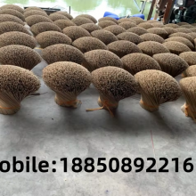 Longyan City Baiyang Factory Trading Co., LTD company overview - view 1 thumbnail