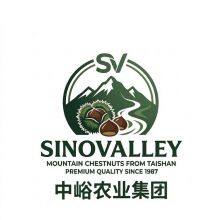 Sino Valley Group Co., Ltd.