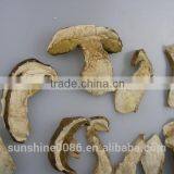 Organic Dried Porcini Boletus Mushroom thumbnail-5