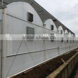 UV Treated Plastic Greenhouses for Sale thumbnail-3