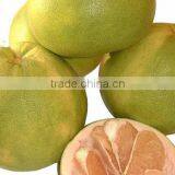 2015 New Crop of the Pomelo thumbnail-6