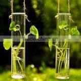 Minimalist Style Clear Glass Vase, Home Decoration thumbnail-1