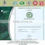 Pure China Top 10 Tea Weight Loss Tea Huangshanmaofeng Green Tea HSG01 for Export thumbnail-5