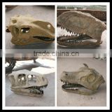 2014 Amusement dinosaur fossil -dinosaur head fossil for sale