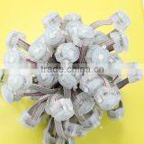 CE ROHS Waterproof Smd 5050 20mm Light for Amusement Rides thumbnail-6