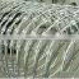 Razor Barbed Wire Mesh