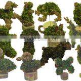 Table-top Topiary thumbnail-1