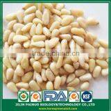 Constant Supply New Crop Daily Consume Korean Pine Nut Kernels