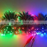 Single Color Waterproof LED Strip Light Advertising Light LED Christmas Light