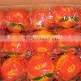 Citrus Fruit Bulk Oranges Safety Net thumbnail-2