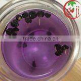 Factory Supply Black goji juice concentrate high quality