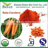 Best Quality 1%,10%, 20%, 25%, 30% Beta Carotene Powder and Granules thumbnail-1