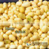 Small Automatic Sweet Potato Washing and Peeling Machine for Sale thumbnail-6