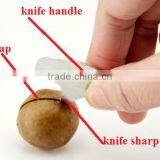 Bauple Nut Opener Machine/bauple Nut Opening Machine/bauple Nut Opener thumbnail-4