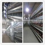 H type cold/hot galvanized 4/5/6/8 tiers battery layer cage