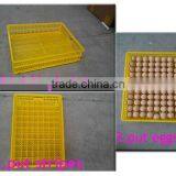 Incubator supplier egg incubator spare parts incubator egg trays for sale