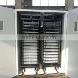 Best price fully automatic brooders for chicks with three years warranty