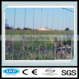 Low carbon steel wire horse wire mesh fence (ISO certification)