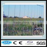 2015 Hot Sale Metal Horse Fence Panel Professional Manufacturer thumbnail-3