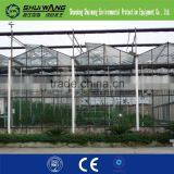 Commercial Glass Greenhouse Supply China Shuiwang thumbnail-3