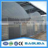 Large Multi Span Green House thumbnail-2
