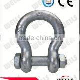 Carbon Steel Screw Pin Anchor Dee Shackle thumbnail-1