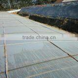 Big Size Agriculture Greenhouse Tunel Film thumbnail-1
