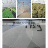 Hot Promotion Agricultural Film, Clear Plastic Anti-uv Greenhouse Film With Competitive Price thumbnail-1